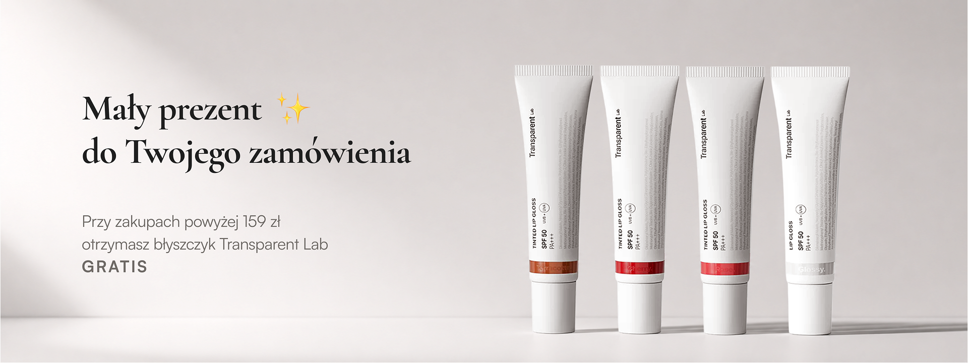 Strona Główna